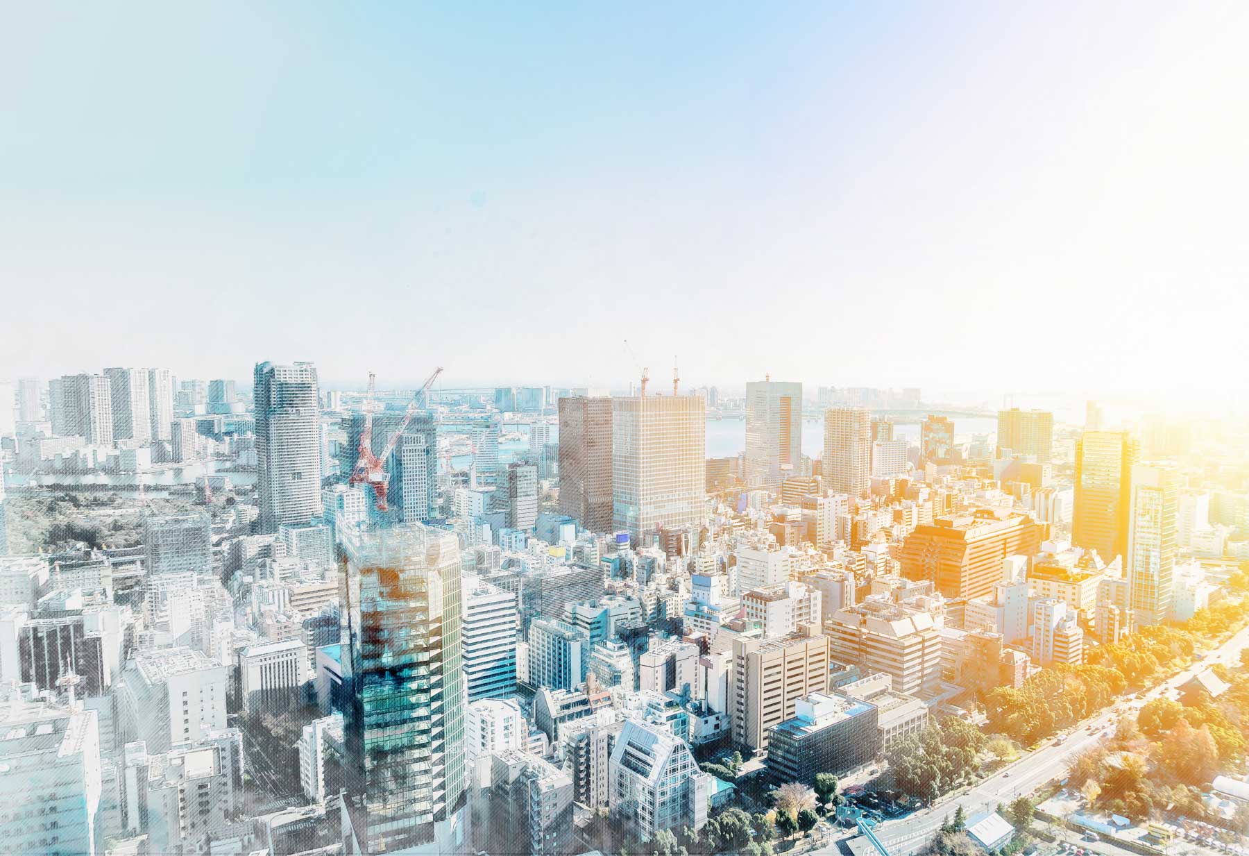 東京オデッセイ特許工法ローコスト建築『風林火山』4300平方メートル超の大型施設がついに着工となりました！