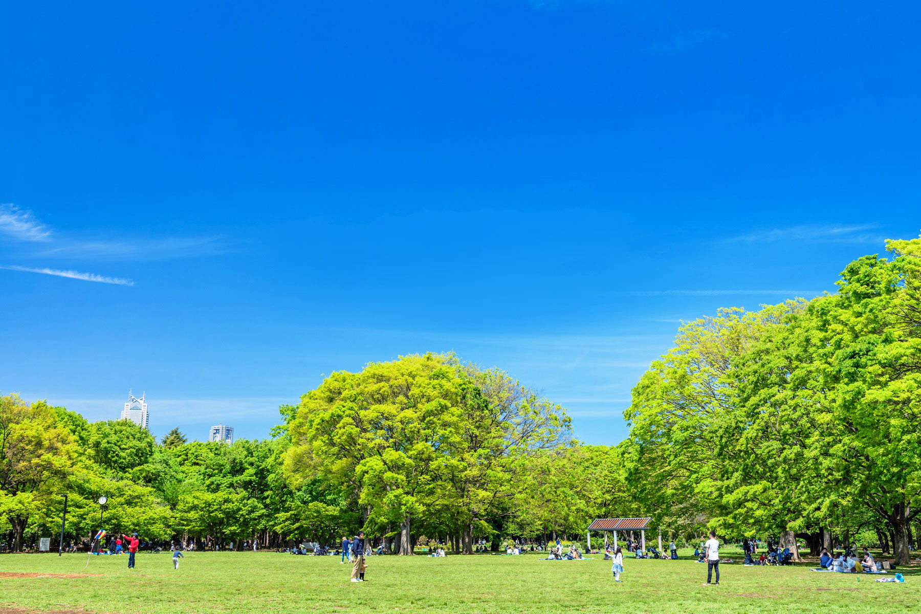 東京オデッセイVRソフト第1弾リリース間近！世界中の公園を歩いて健康になるVR・『散歩でルンルン』介護×VR！