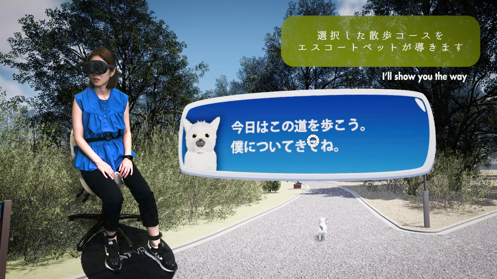 東京オデッセイVRソフト第1弾リリース間近！世界中の公園を歩いて健康になるVR・『散歩でルンルン』介護×VR！