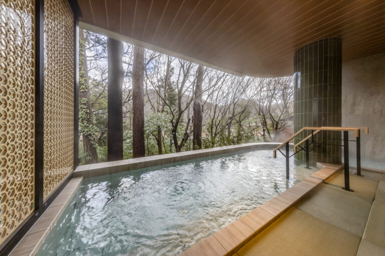 湯快リゾートプレミアム 山中温泉 よしのや依緑園
