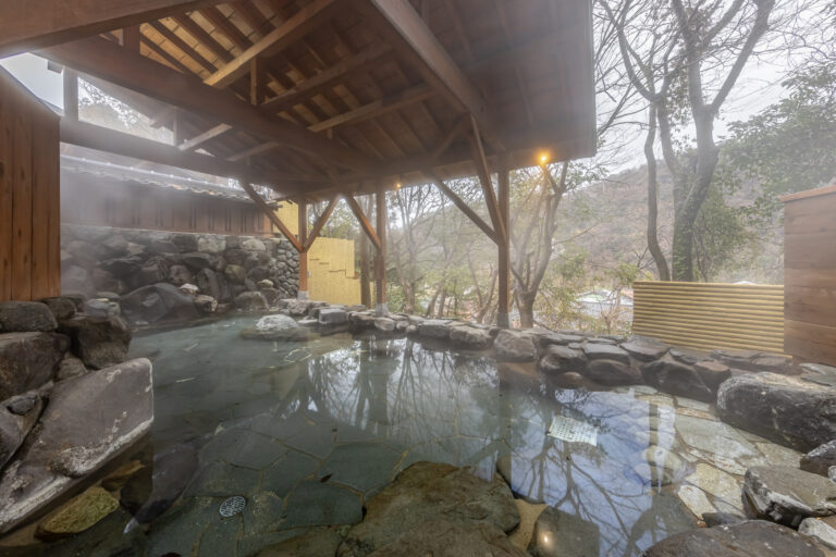 湯快リゾートプレミアム 山中温泉 よしのや依緑園