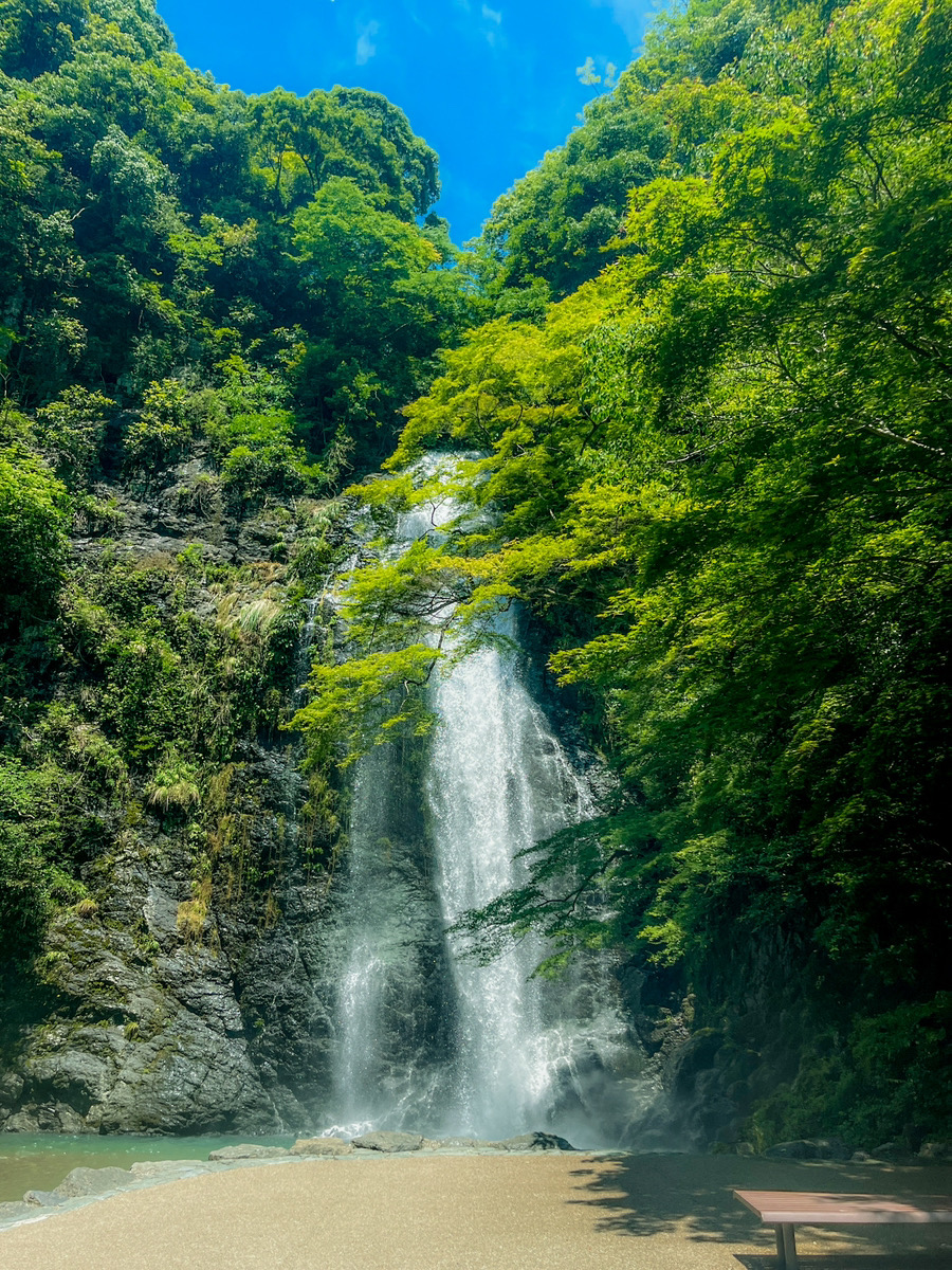 近場の観光名所